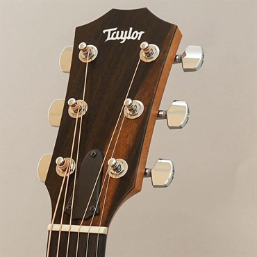 TAYLOR 214ce Rosewood Special Edition Honeyburst テイラー 画像10