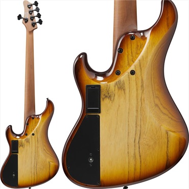 Ibanez MDM1305-NAB [SPOT MODEL] 画像1