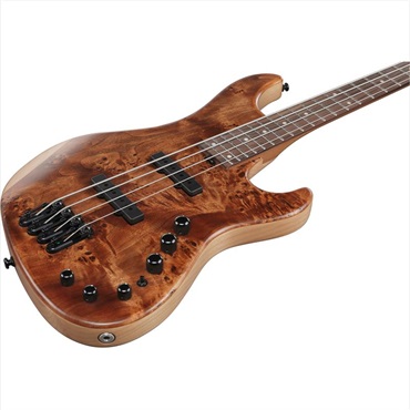Ibanez MDM1600-NML [SPOT MODEL] 画像2