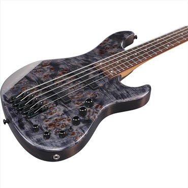 Ibanez 【入荷待ち、ご予約受付中】 MDM1605-DTW 画像2