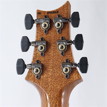 P.R.S. Custom 24 Mango Top Limited Edition (Violet) [SN.0421328] 【2025年生産品】 画像9