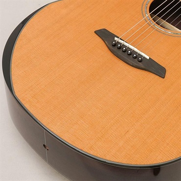 Furch 【新仕様】Yellow Deluxe Gc-CRa #137988 フォルヒ 画像6