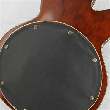 GRETSCH VINTAGE 6122 Chet Atkins Country Gentleman '67 画像3