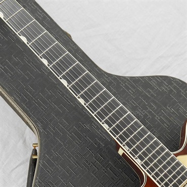 GRETSCH VINTAGE 6122 Chet Atkins Country Gentleman '67 画像8