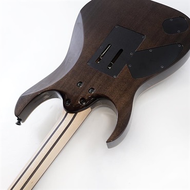 Ibanez j.custom RG8620AH-BQZ (Black Quartz) ※指板焼け特価品 画像6