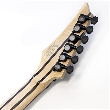 Ibanez j.custom RG8620AH-BQZ (Black Quartz) ※指板焼け特価品 画像9