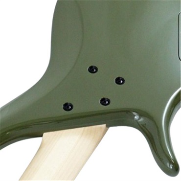 F-bass BN5 Alder body (Evergreen Gloss with Black Hardware) 画像8