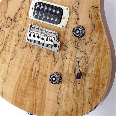 P.R.S. Ikebe Exclusive SE Custom 24 Spalted Veneer (Natural)　SN.CTIH054312 【2025年生産品】 画像4