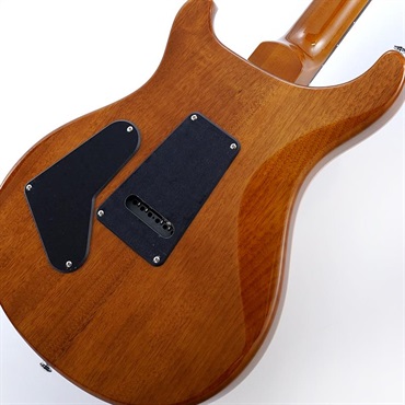 P.R.S. Ikebe Exclusive SE Custom 24 Spalted Veneer (Natural)　SN.CTIH054312 【2025年生産品】 画像7