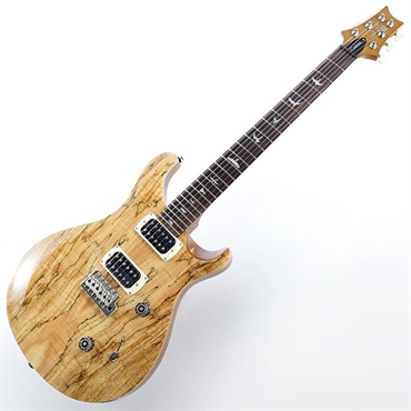 P.R.S. Ikebe Exclusive SE Custom 24 Spalted Veneer (Natural)　SN.CTIH054418 【2025年生産品】 画像1