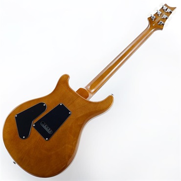 P.R.S. Ikebe Exclusive SE Custom 24 Spalted Veneer (Natural)　SN.CTIH054418 【2025年生産品】 画像2