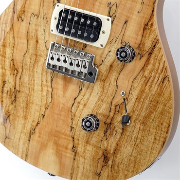 P.R.S. Ikebe Exclusive SE Custom 24 Spalted Veneer (Natural)　SN.CTIH054418 【2025年生産品】 画像4