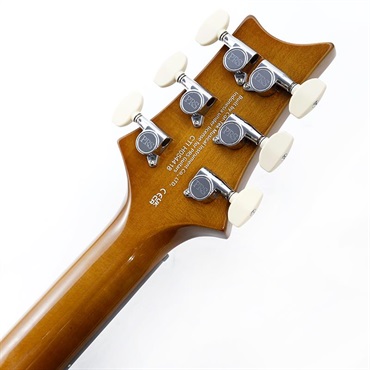 P.R.S. Ikebe Exclusive SE Custom 24 Spalted Veneer (Natural)　SN.CTIH054418 【2025年生産品】 画像9