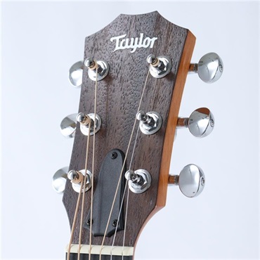 TAYLOR USED 中古 GS Mini Sapele テイラー 画像4