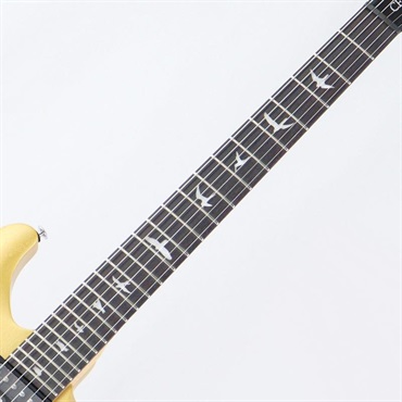 P.R.S. SE CE 24 Standard Satin (Metallic Gold) 【2025年生産品】 画像5