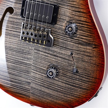 P.R.S. Wood Library Custom 24 Semi-Hollow (Chacoal Cherry Burst) SN.0421124 【2026年生産品】 画像4