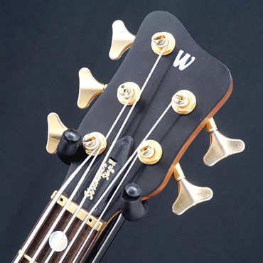 Warwick USED 中古 Streamer Stage II (Natural Oil finish) 画像6