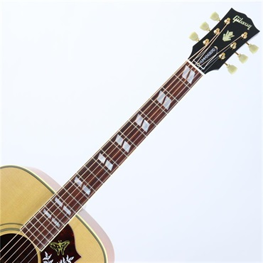 Gibson 【モンタナ工場現地選定材】Hummingbird Original Cocobolo ギブソン 画像4