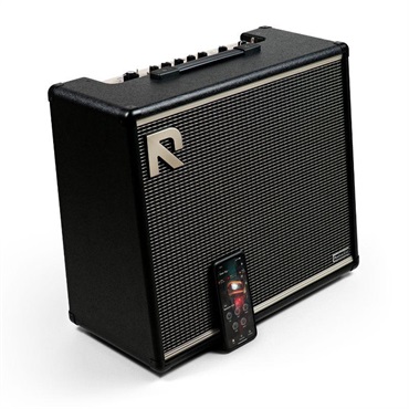 Positive Grid REACTOR 100 画像1