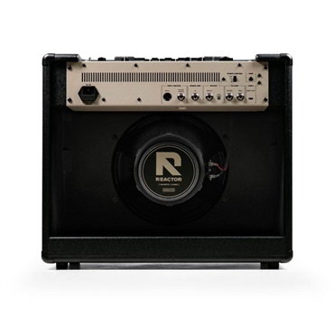 Positive Grid REACTOR 100 画像2