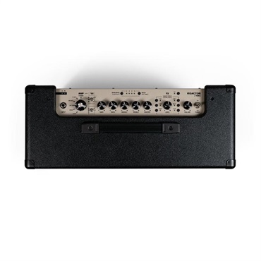 Positive Grid REACTOR 100 画像4