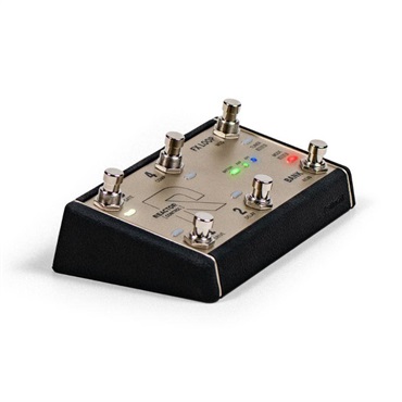 Positive Grid REACTOR Control 画像1
