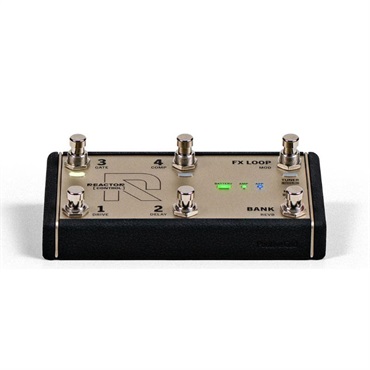 Positive Grid REACTOR Control 画像4