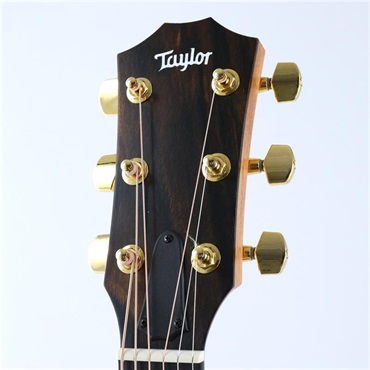 TAYLOR 224ce-K DLX テイラー 画像6