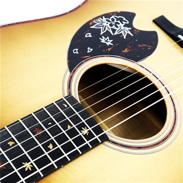 Headway 【夏のボーナスセール】 HD-SHIKIZAKURA ’25/ATB ABB（Autumn Brown Burst）ヘッドウェイ 画像9