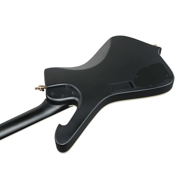 Ibanez ICB620-BKF 画像3