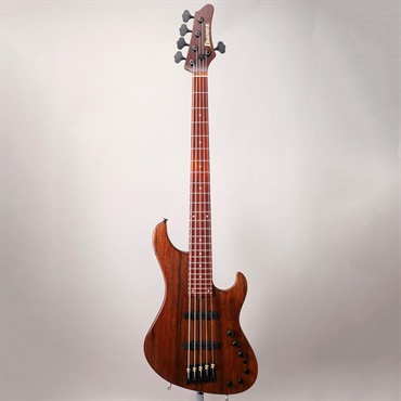 Ibanez VISONS IV2MDM [Limited Model] 画像1