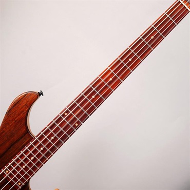Ibanez VISONS IV2MDM [Limited Model] 画像4