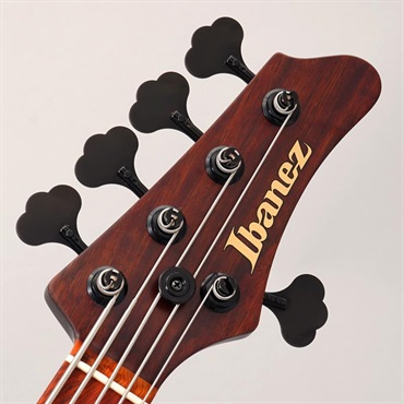 Ibanez VISONS IV2MDM [Limited Model] 画像6