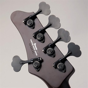 Ibanez VISONS IV2MDM [Limited Model] 画像7