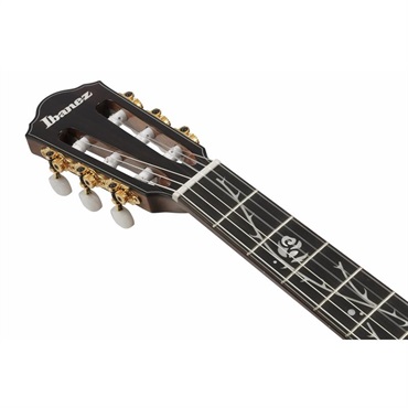 Ibanez TOD100N-NT【2026年9月末頃順次入荷予定】 アイバニーズ 画像6