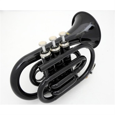 その他ブランド(管楽器・吹奏楽器) Kaerntner ケルントナー / KTR33P BK 【Bb ポケット トランペット】  【新品チョイキズ超特価!!】 【大決算セール】 画像2