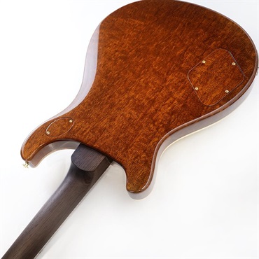P.R.S. Private Stock #11514 McCarty 594 Brazilian Rosewood Neck & Fingerboard (Natural with Gold leaf accents) 画像6