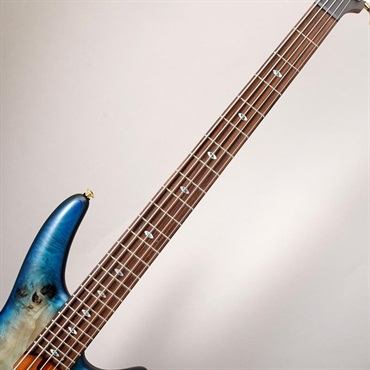 Ibanez Prestige SR6605-GFB 【特価】 画像4