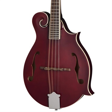 Epiphone F-5 Studio (Wine Red） エピフォン 画像1