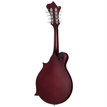 Epiphone F-5 Studio (Wine Red） エピフォン 画像3