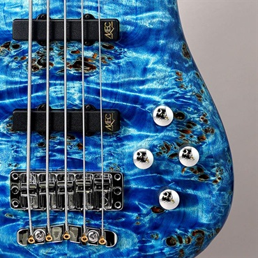 Warwick Pro Series Streamer LX 5st Birdseye Poplar Top (Bleached Blue TP HP) [Ikebe 50th Anniversary Special Edition] #14002 画像8