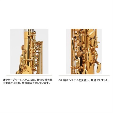 Selmer Paris 【伊東たけし氏選定品】アルトサックス セルマー Supreme シュプレーム DGL(ダークゴールドラッカー)【選定料サービス!!】 【調整&セットアップ後出荷】【5年間キーバランス調整無料】 画像3