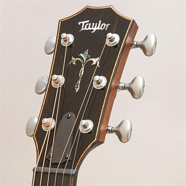 TAYLOR CTM 914c Next Generation -Engelmann Spruce/Indian Rosewood (Andy Powers Select Wood)- テイラー 画像10
