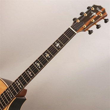 TAYLOR CTM 914ce Next Generation -Bearclaw Sitka Spruce/Indian Rosewood (Andy Powers Select Wood)- テイラー 画像8