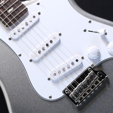 P.R.S. SE Silver Sky Rosewood Limited Colors (Platinum Spark)[John Mayer Model] #CTI H079591【2025年生産品】 画像3