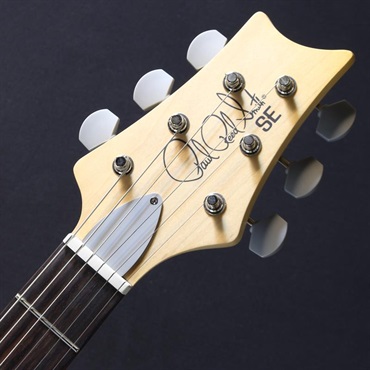 P.R.S. SE Silver Sky Rosewood Limited Colors (Platinum Spark)[John Mayer Model] #CTI H079591【2025年生産品】 画像4