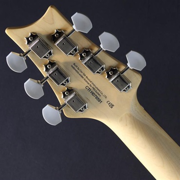P.R.S. SE Silver Sky Rosewood Limited Colors (Platinum Spark)[John Mayer Model] #CTI H079591【2025年生産品】 画像6