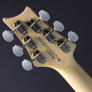 P.R.S. SE Silver Sky Rosewood Limited Colors (Gold Spark)[John Mayer Model] #CTI H077784【2025年生産品】 画像6