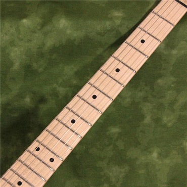 JAMES TYLER USED 中古 Studio Elite HD Rear Rout Royal Blue Shmear Semi-Gloss Finish Ash Body/Maple Fingerboard SN.20087 画像8