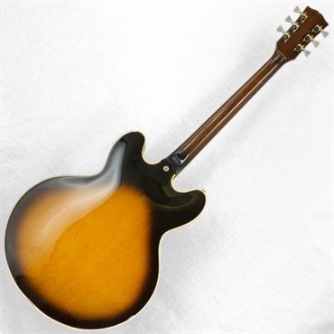 Aria ProII VINTAGE ES-800 '80 Sunburst 画像2